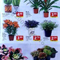 lidl 5 a 11 agosto_23.jpg